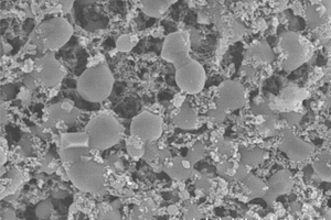 藻基磁性活性炭材料的制备方法及应用