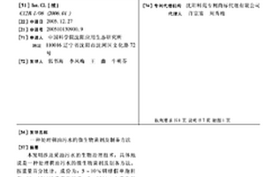 处理稠油污水的微生物菌剂及制备方法