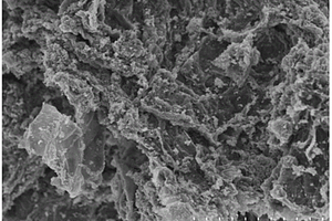 氨三乙酸修饰的磁性氧化石墨烯复合材料的制备方法及其用途