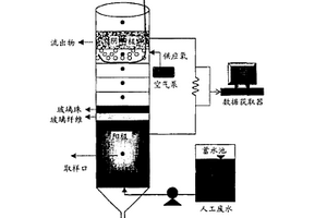 无膜和无介体的微生物燃料电池