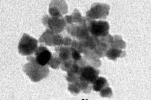 高效去除磷酸根、硝酸根的磁性纳米材料的制备方法