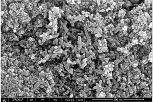 纳米硫化镉-二氧化钛复合物的制备方法