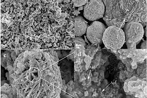 碘化银纳米颗粒修饰钨酸铋异质结光催化剂及其制备方法和应用