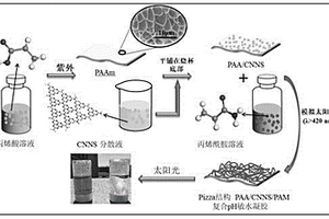 Pizza结构的纳米片氮化碳复合pH敏水凝胶、其制备方法及应用