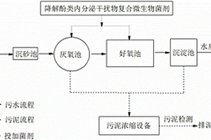 降解酚类内分泌干扰物的复合微生物制剂及制备方法