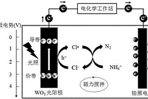 光电催化‑氯自由基脱氮方法