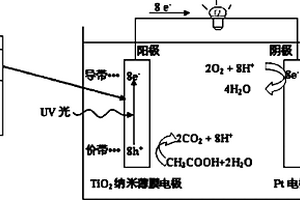 二氧化钛催化的电池、及其制备方法和应用