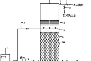 臭氧催化氧化反应器及其污水处理方法