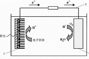 可见光响应的纳米管阵列燃料电池