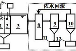 高效处理垃圾焚烧渗沥液反渗透浓水的方法