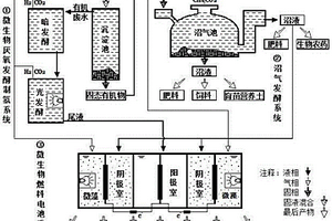 有机废弃物梯级转化产能系统及方法