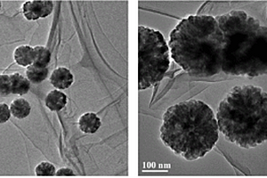 硫化剂改性磁性纳米Fe3O4吸附剂及其制备方法和应用