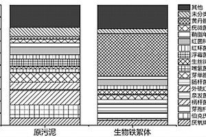 利用污泥制备生物铁絮凝剂的方法