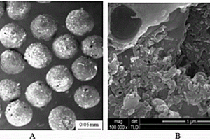 基于碳纳米管的球形多孔吸附剂及其制备方法与应用