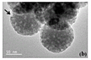 La活化的功能化树枝状介孔二氧化硅纳米球的制备方法及其应用