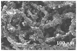仿生结构狗尾草状金属氧化物纳米材料及其制备方法