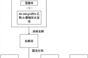 N‑乙酰‑D‑葡糖胺综合利用的方法