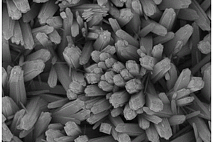 TiO2纳米束/掺硼金刚石薄膜复合光电催化电极、制备方法及应用
