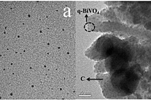 磁性BiVO4量子点复合光催化剂及制备方法和用途