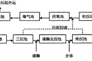 臭氧预氧化-漆酶深度水处理方法