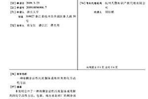 将剩余活性污泥制备成吸附剂的化学改性方法