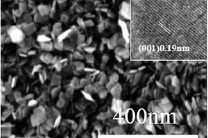 高{001}晶面暴露比例的纳米级TiO2/碳气凝胶电极及其制备方法和应用