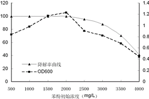 微杆菌菌株及其应用