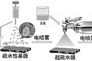 超疏水超疏油膜及其制备方法