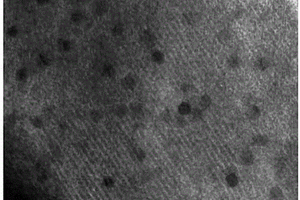 磁性纳米载铁有序介孔碳及其制备方法和应用