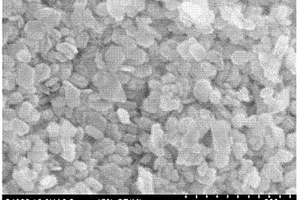 对有机染料选择性吸附的二硫化锡单晶纳米片及其制备方法