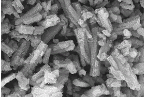 多级钛酸钠微管及其制备方法和应用
