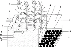 芦苇湿地与复合多孔介质球的联合净化系统及构建方法与应用