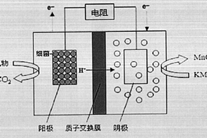 高锰酸钾作阴极电子受体构建双室微生物燃料电池型BOD传感器的方法