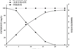 一株耐抗生素的六价铬还原菌及其应用