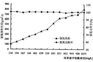 活性污泥中高效硝化细菌的富集方法