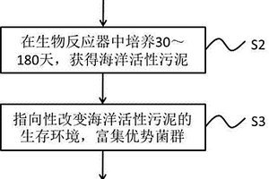 海洋活性污泥产品及其制备方法和水处理应用