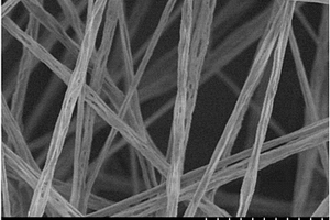 PLA-TPs纳米纤维膜及其制备方法和应用