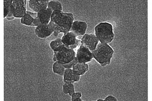 以氧化铈纳米材料作为催化剂的臭氧化水处理方法