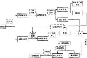 以木质纤维素为原料联产乙醇和微生物油脂的方法