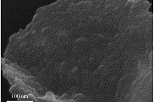 Co/N共掺杂介孔碳纳米片及制备方法和应用
