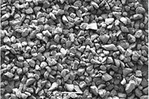 高钛盐酸浸出渣、其新用途及钛白粉的制备方法