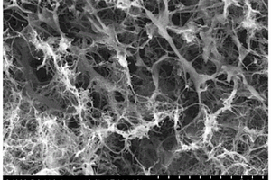 膦酸功能化聚合物/石墨烯纳米带复合气凝胶及其制备方法和应用