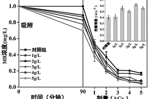 催化剂协同电离辐照降解水中有机污染物的方法