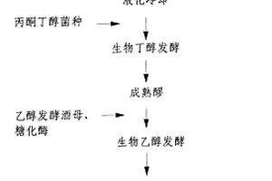 生物丁醇联合发酵生物乙醇的生产方法