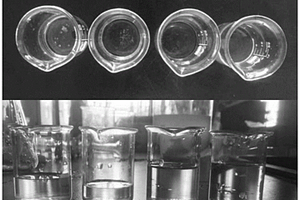 亲水抗污功能膜的制备方法和应用