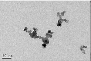 硫化镉‑二氧化钛纳米复合物及其制备方法和应用