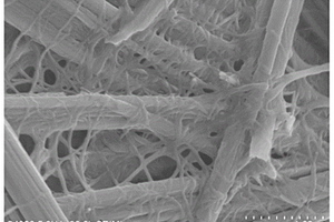 氧化锌/胶原纤维复合多孔吸附材料及其制备方法和应用