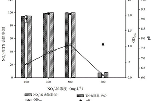 异养硝化-好氧反硝化菌及其培养方法和应用