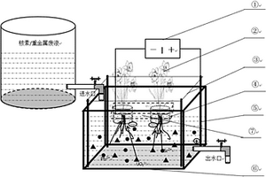 低压电场-植物去除水体放射性核素/重金属的方法及系统