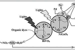 具有双助催剂的光催化剂(Cu,Pd)-NiGa<sub>2</sub>O<sub>4</sub>/BiVO<sub>4</sub>及其应用